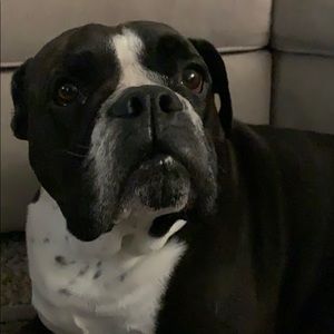 Meet your Posher, James